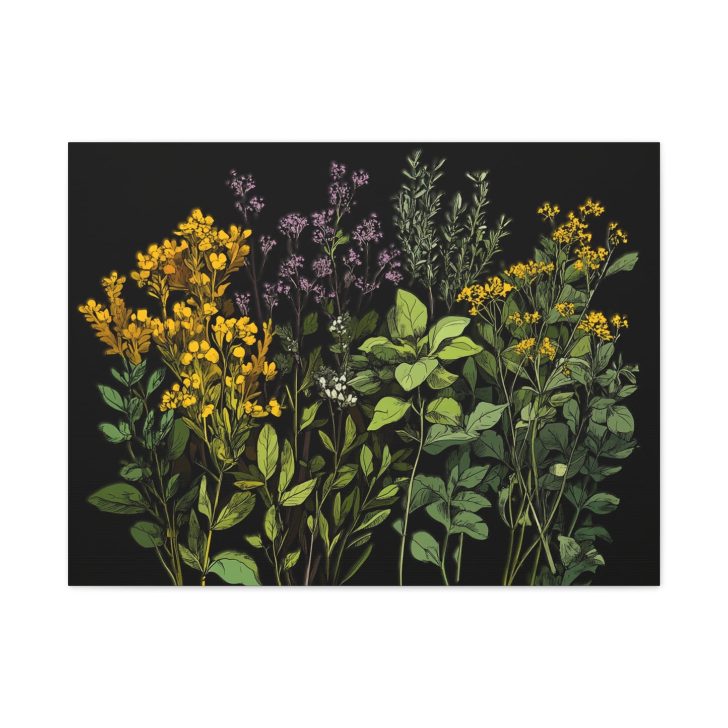 Botanical Wall Art - Matte Canvas Print of Colorful Herbs and Flowers