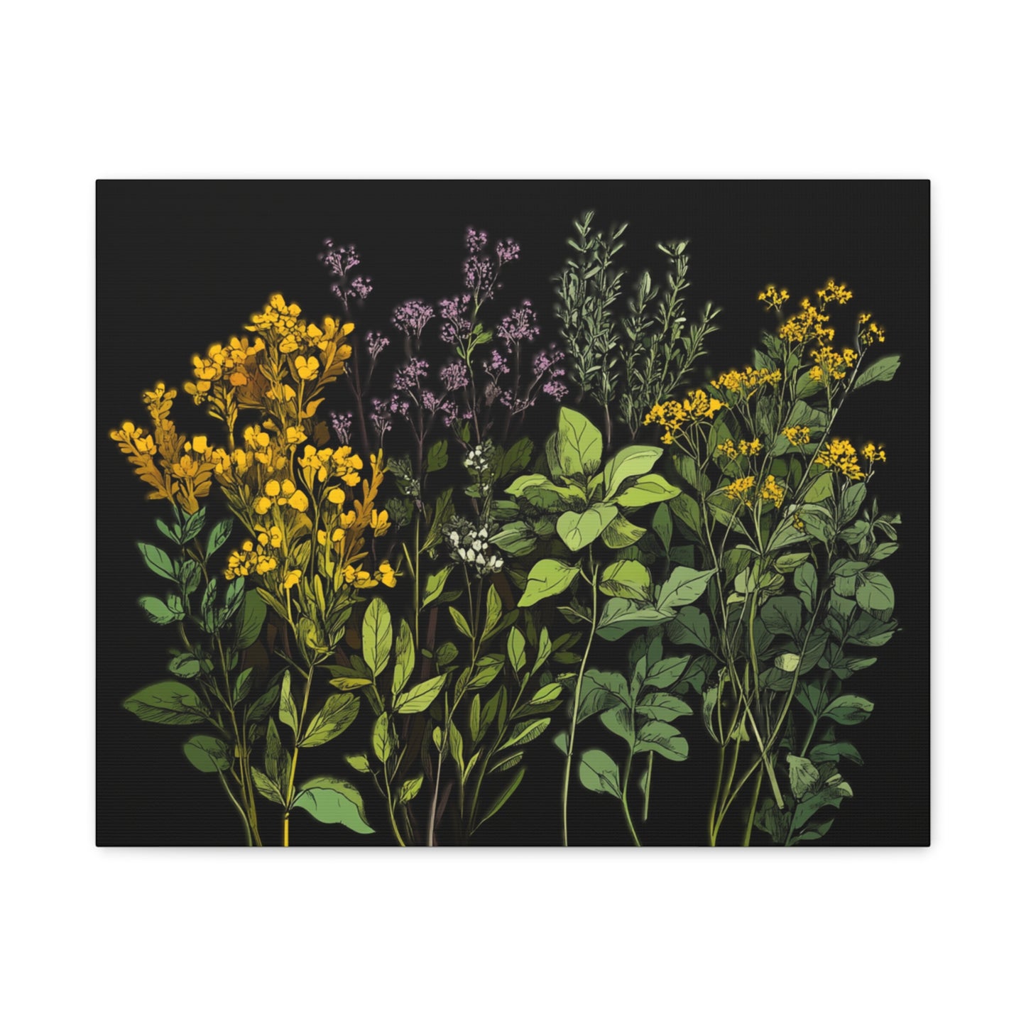 Botanical Wall Art - Matte Canvas Print of Colorful Herbs and Flowers