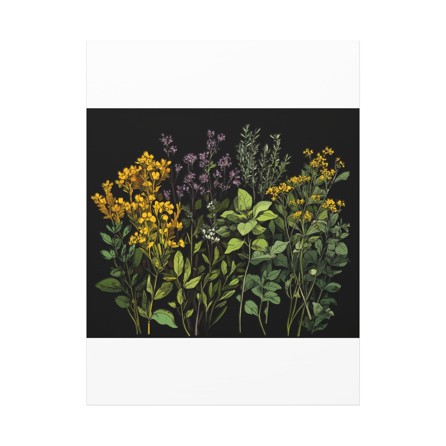Botanical Wall Art - Matte Canvas Print of Colorful Herbs and Flowers