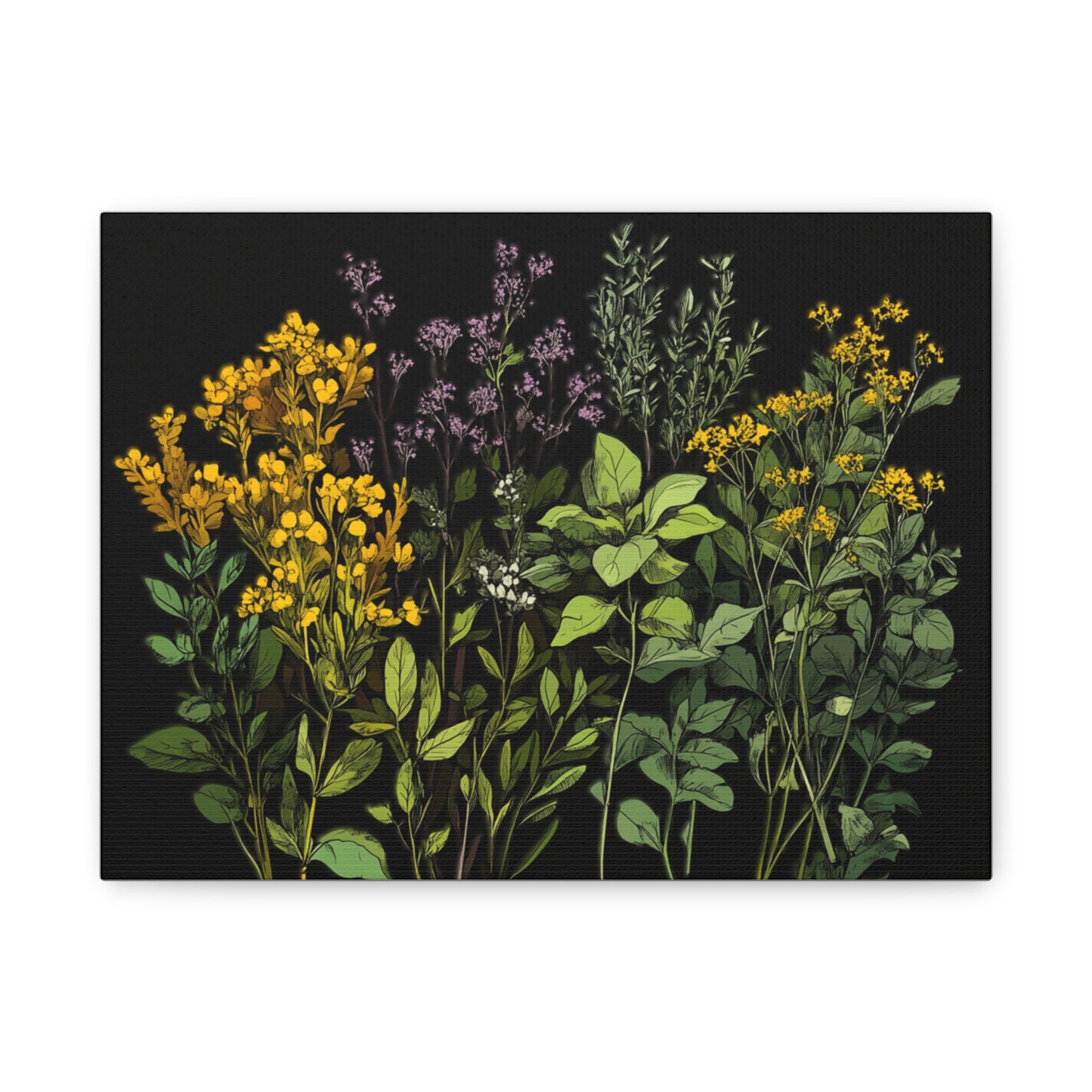 Botanical Wall Art - Matte Canvas Print of Colorful Herbs and Flowers