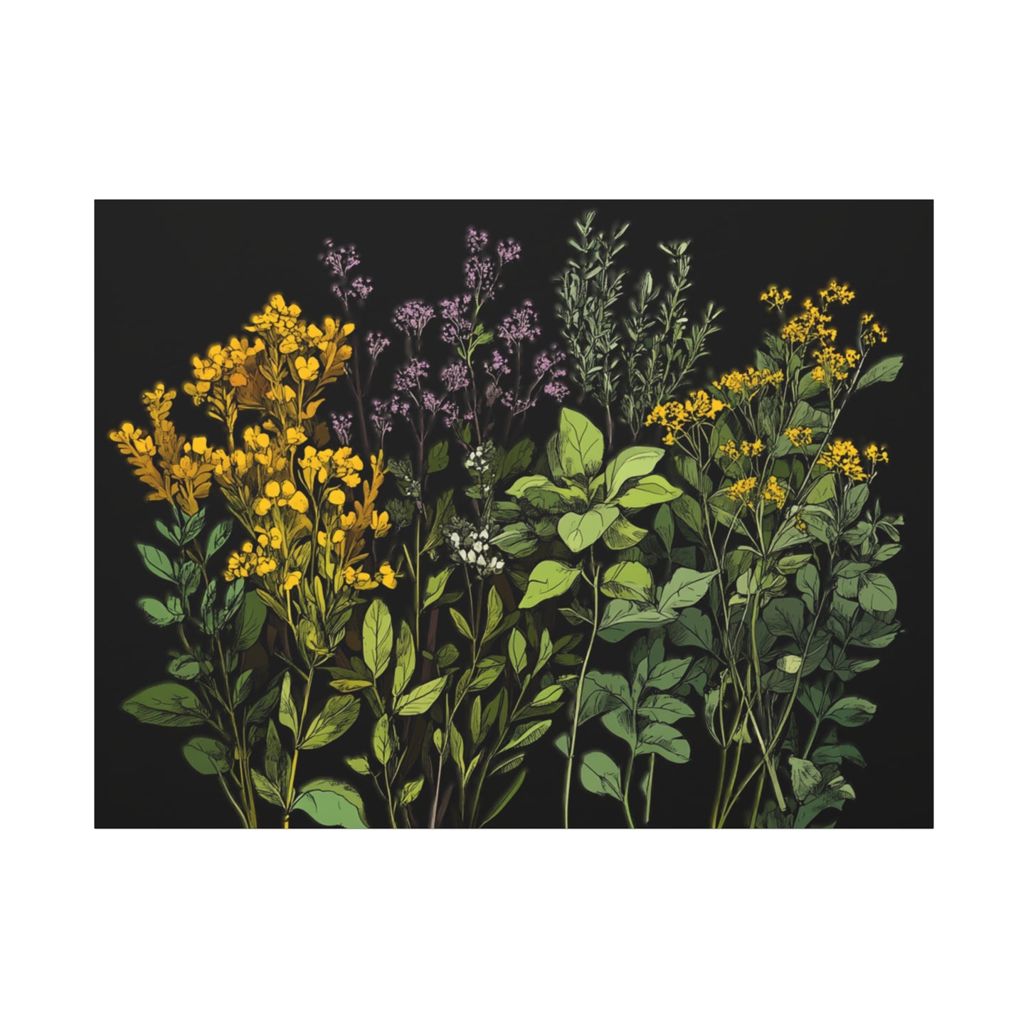 Botanical Wall Art - Matte Canvas Print of Colorful Herbs and Flowers