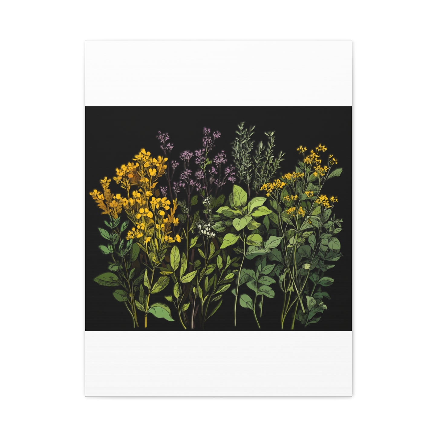 Botanical Wall Art - Matte Canvas Print of Colorful Herbs and Flowers