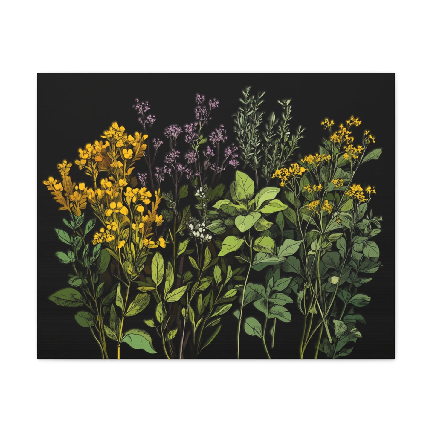 Botanical Wall Art - Matte Canvas Print of Colorful Herbs and Flowers