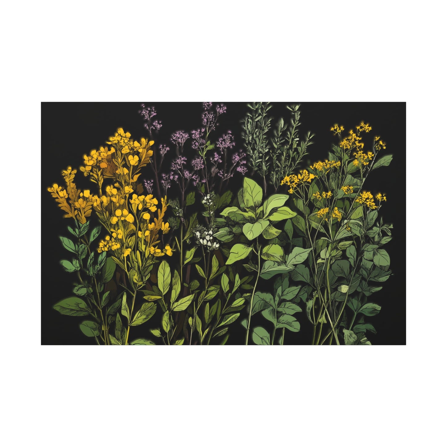Botanical Wall Art - Matte Canvas Print of Colorful Herbs and Flowers