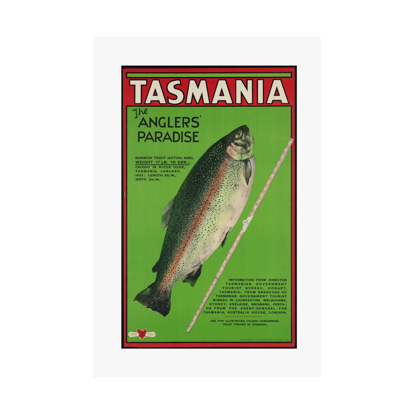 Vintage Fishing Themed Matte Vertical Posters - Anglers' Paradise