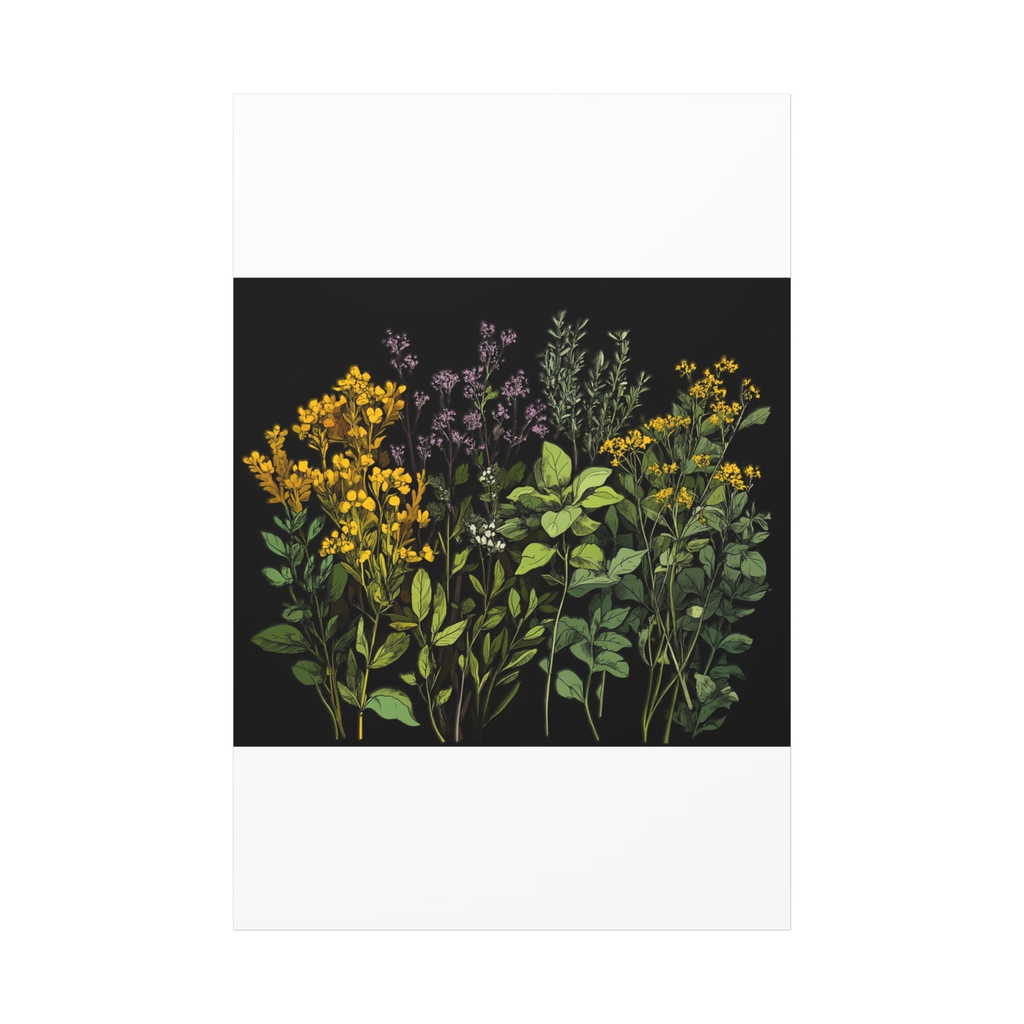 Botanical Wall Art - Matte Canvas Print of Colorful Herbs and Flowers