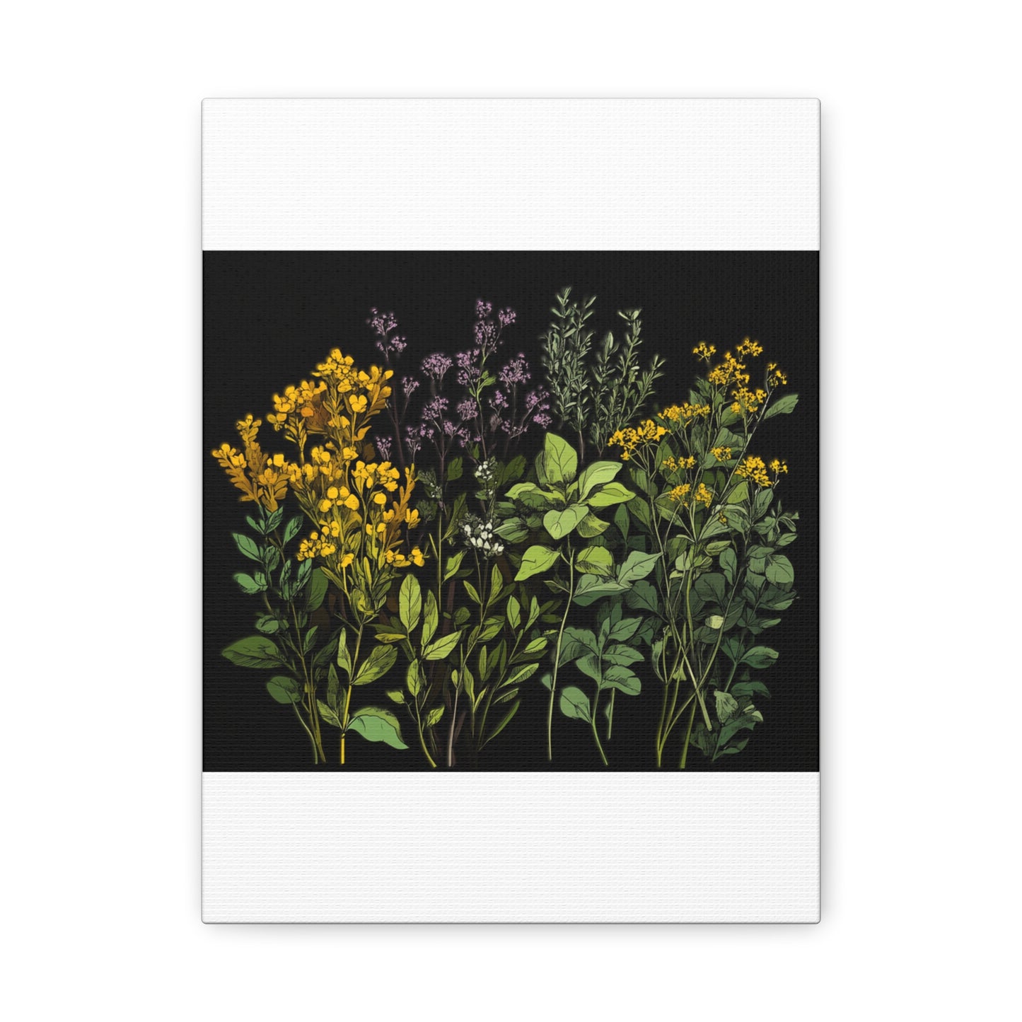 Botanical Wall Art - Matte Canvas Print of Colorful Herbs and Flowers