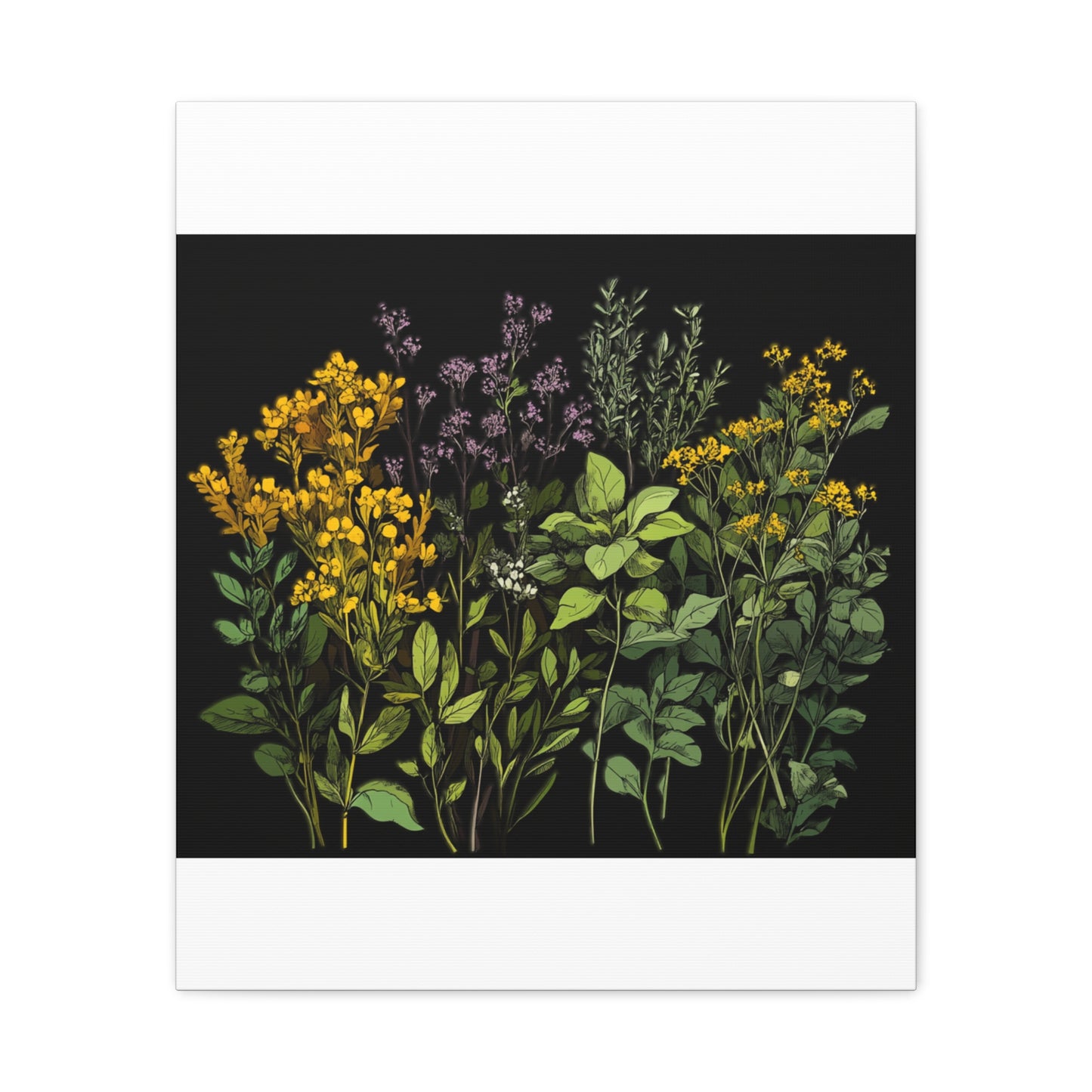 Botanical Wall Art - Matte Canvas Print of Colorful Herbs and Flowers