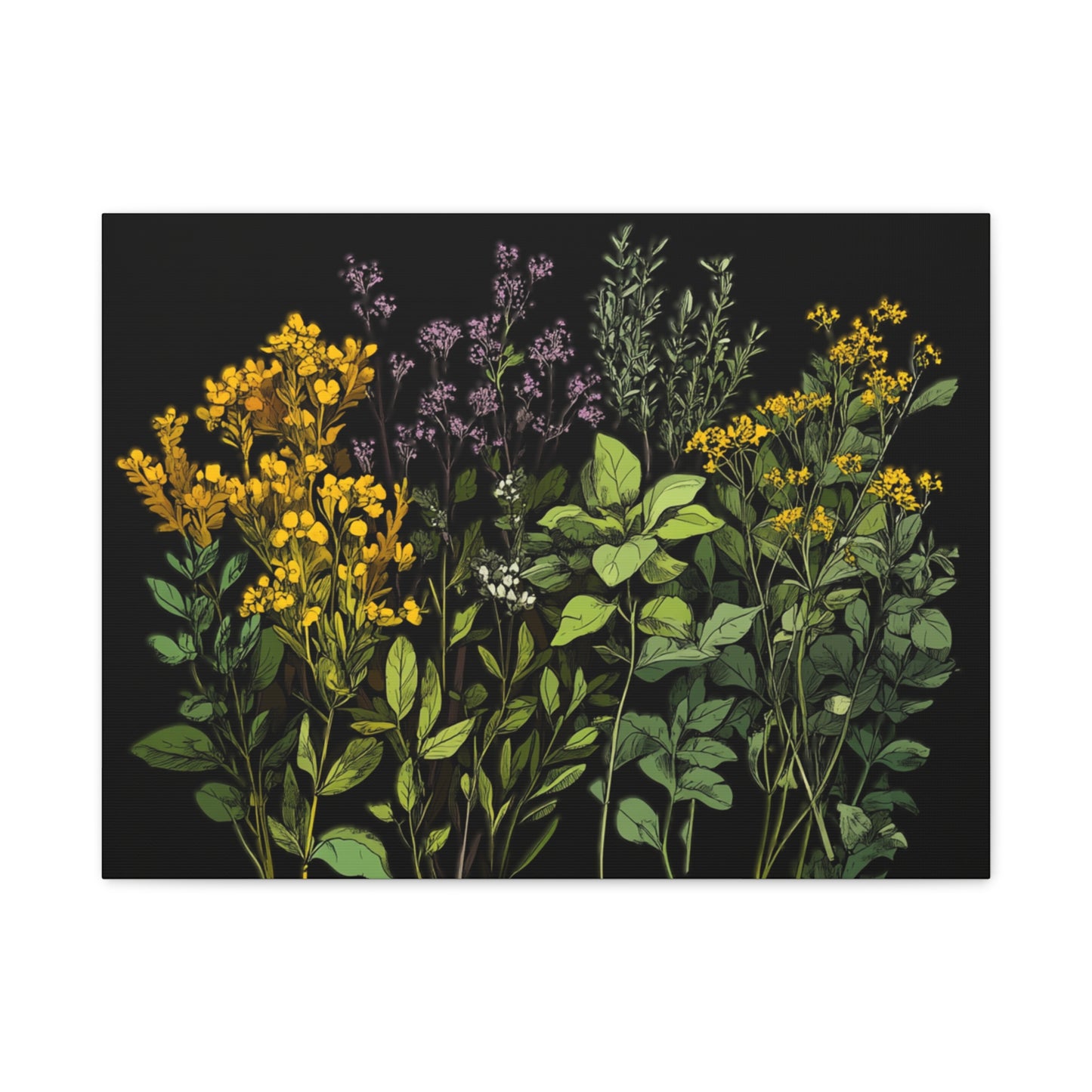 Botanical Wall Art - Matte Canvas Print of Colorful Herbs and Flowers