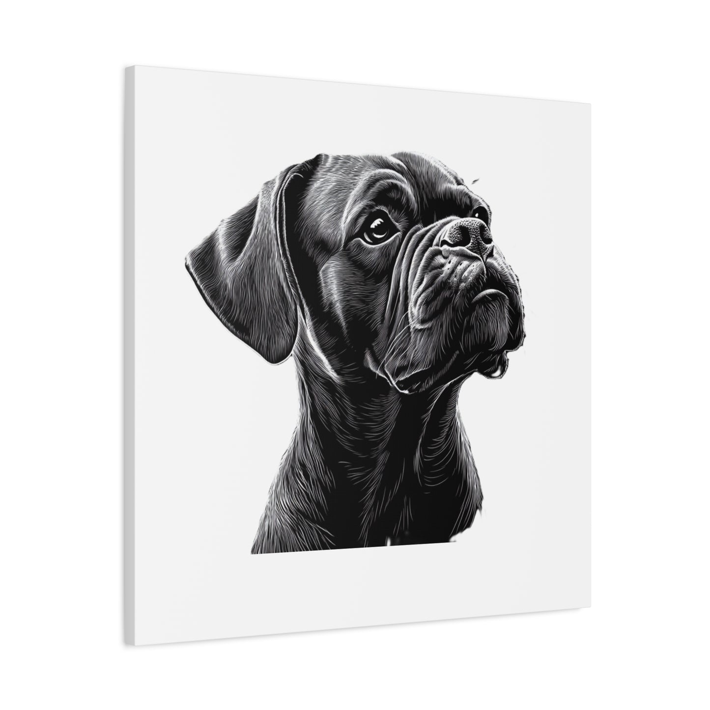 Canvas Wall Art - Black Boxer Dog Portrait - Pet Lover Home Decor