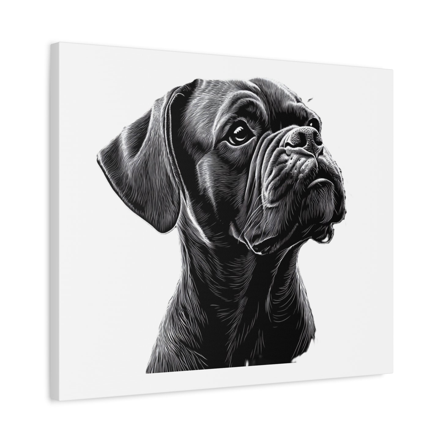 Canvas Wall Art - Black Boxer Dog Portrait - Pet Lover Home Decor