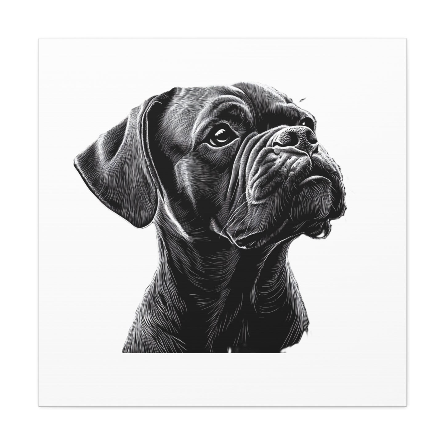 Canvas Wall Art - Black Boxer Dog Portrait - Pet Lover Home Decor