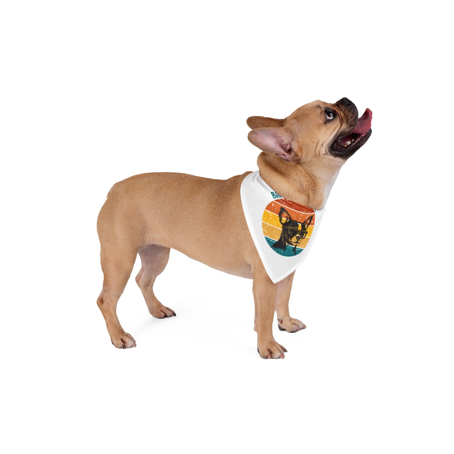 Stylish Dog Bandana - 'Barkin' With Style'