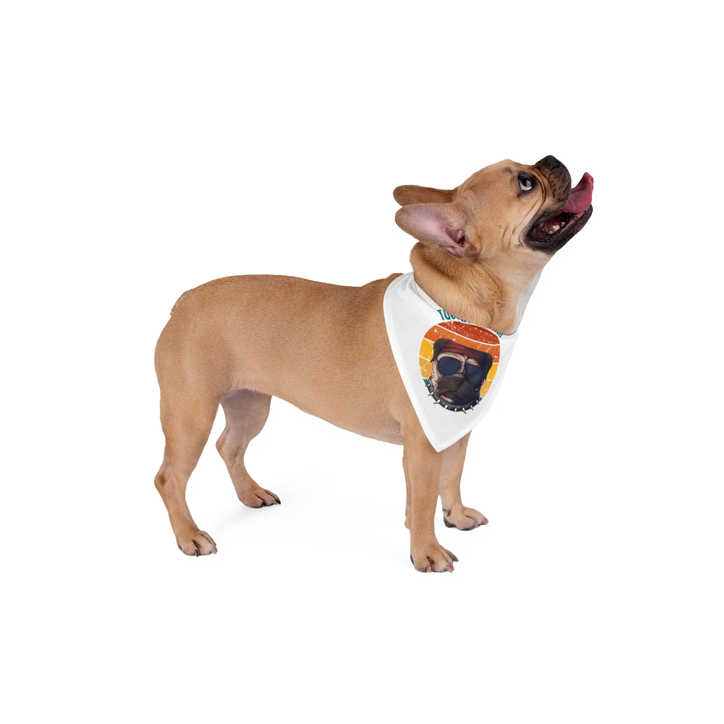 Too Rad to Fetch Pet Bandana - Stylish Dog Accessory for Cool Pets