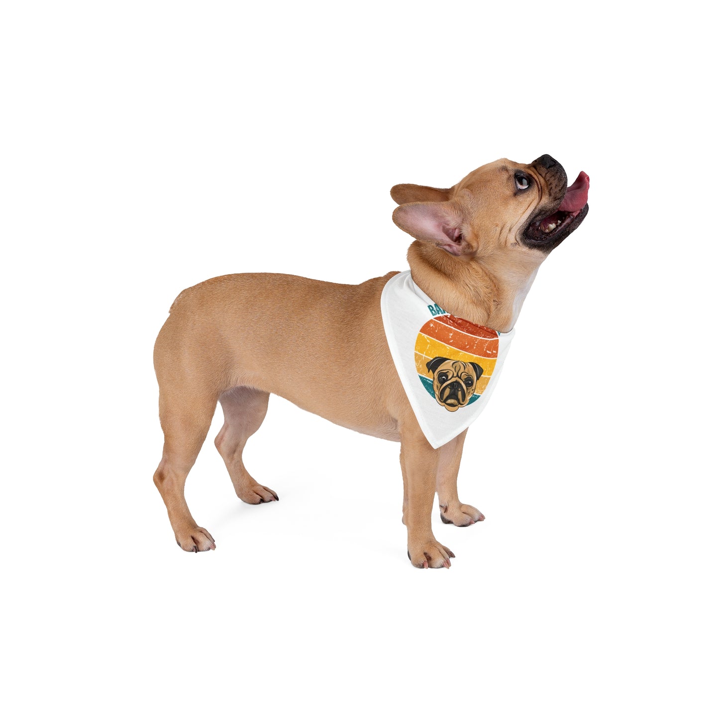 Barkin' with Style Dog Bandana - Retro Pug Design for Pet Fashion