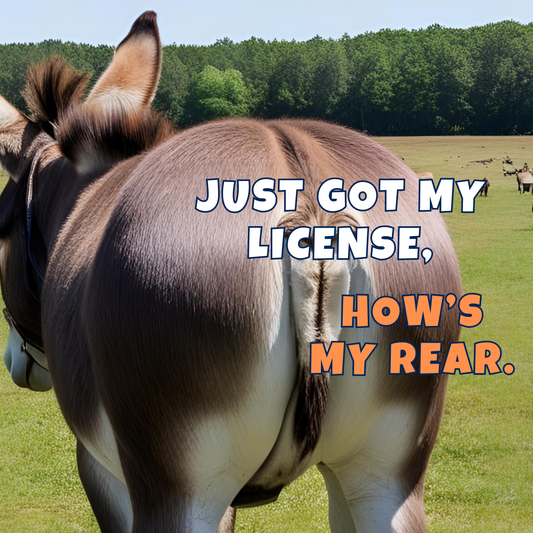 Funny New Driver Bumper Sticker  7 – "Just Got My License, How's My Rear?" – Teen Driver Gift, Car Decal, Graduation Humor Sticker