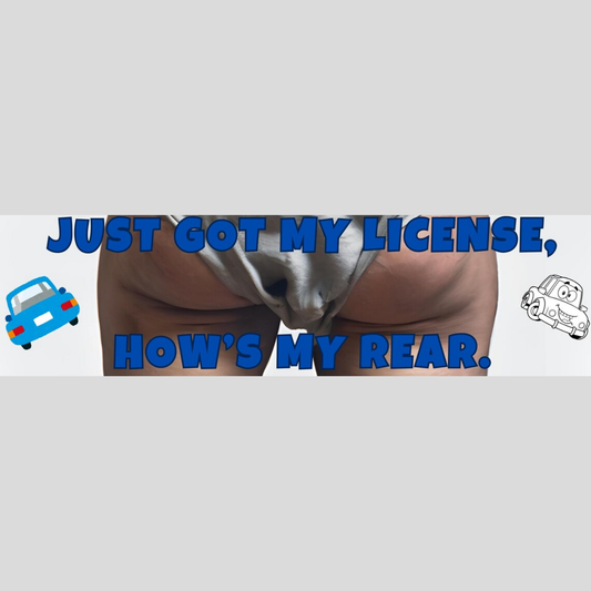 Funny New Driver Bumper Sticker 1 – "Just Got My License, How's My Rear?" – Teen Driver Gift, Car Decal, Graduation Humor Sticker